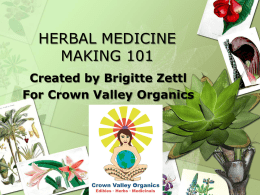 herbal medicine making 101