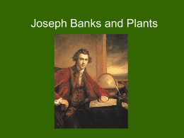 Joseph Banks and Plants - My Portfolio Marina Bechara