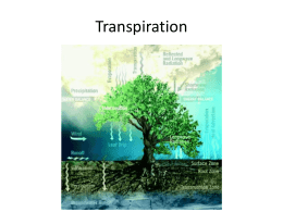 Transpiration - Soil Physics