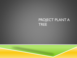 Project: Plant a Tree