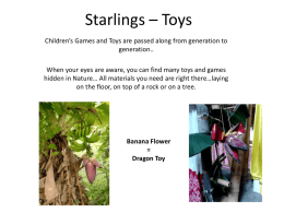 Starlings * Toys