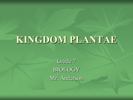 plants - Mr. Anderson`s Page