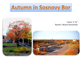 Autumn in Sosnovy Bor