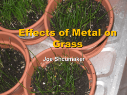 jschumaker Effects of Metal on Grassx - SMS-HB09