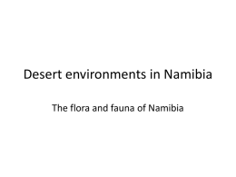 Deserts - flora and fauna