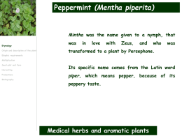 Medical herbs and aromatic plants