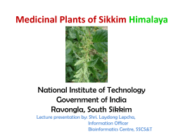 Medicinal Plants of Sikkim Himalaya