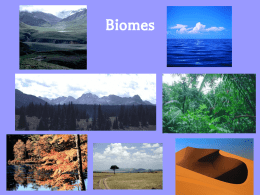 Biomes PPT