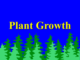 Plant Growth Phases