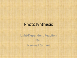 Photosynthesis - THESTUDENTSCHOOL