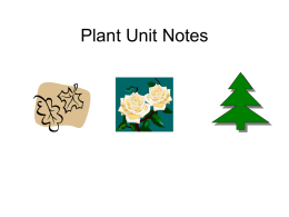 Plant Unit Notes