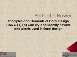 Lesson 01b Parts of a Flower PPT