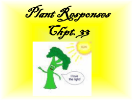 Responses in Flowering Plants Growth Regulation