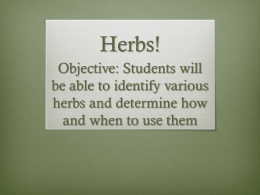 Herbs 10/17