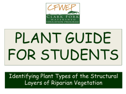 Plant Guide (ppt format)
