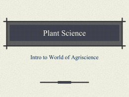 Plant Science File
