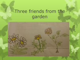 Three friends from the garden
