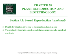 5. Double fertilization gives rise to the zygote and endosperm