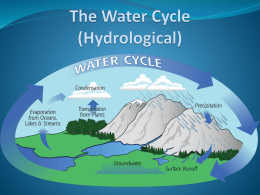 The Water Cycle (Hydrological)