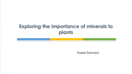 Exploring the importance of minerals to plants