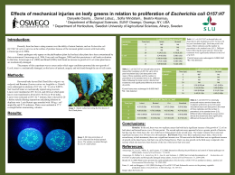 Effects of mechanical Injuries on leafy greens in