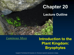 Botany Ch20_Mosses lecture-2015