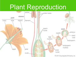 plant_reproduction