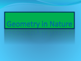 Geometry in Nature - World of Teaching