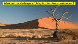 the causes of desertification