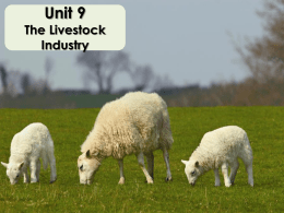 8TH_GRADE_files/Unit 9 - The Livestock Industry