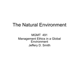 Accounting for the Environment