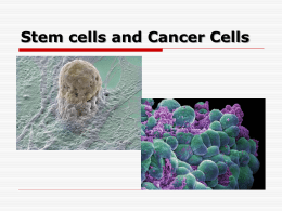 Stem cells and Cancer