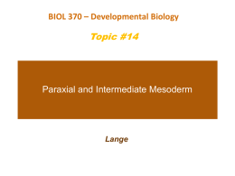Developmental Biology, 9e