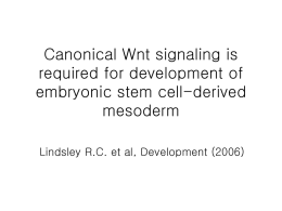 Canonical Wnt signaling is required for development of