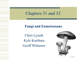 Chapters 31 and 32 - Kealakehe High School