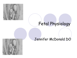 Fetal Physiology - Logan Class of December 2011