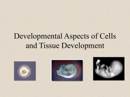 Developmental Aspects of Cells and Tissue Development