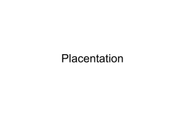 Placentation - Delta State University