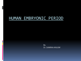 HUMAN EMBRYONIC AND FETAL PERIODS A GENERAL SURVEY