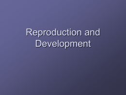 Reproduction and Development - Lincoln