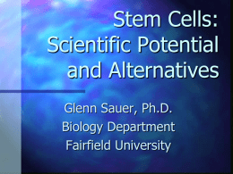 Stem Cells - Fairfield University