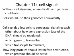 cell signaling power point