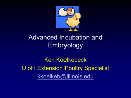 Advanced Embryology - University of Illinois Extension