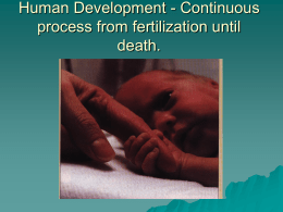 Human Development - Continuous process from fertilization until