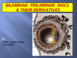 03 bilaminarand trilaminar discs2011-09