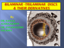 3-Bilaminarand trilaminar discs