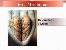 lecture8-foetal memb..