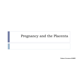 Pregnancy and the Placenta