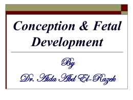 Conception & Fetal Development