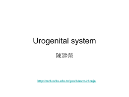 Development of Urogenital System